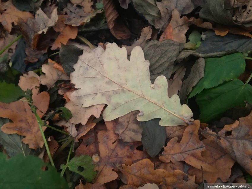 Осень домовенка — Испанские куклы (разное): Vestida de Azul