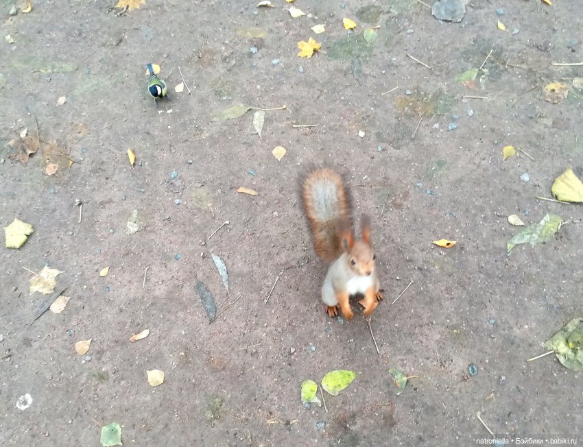 Московские парки глазами домовенка