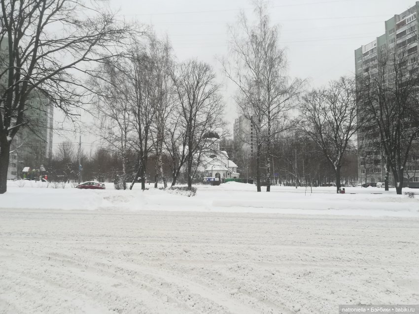 Зимние прогулки, часть первая - почти лесная (фото 2)