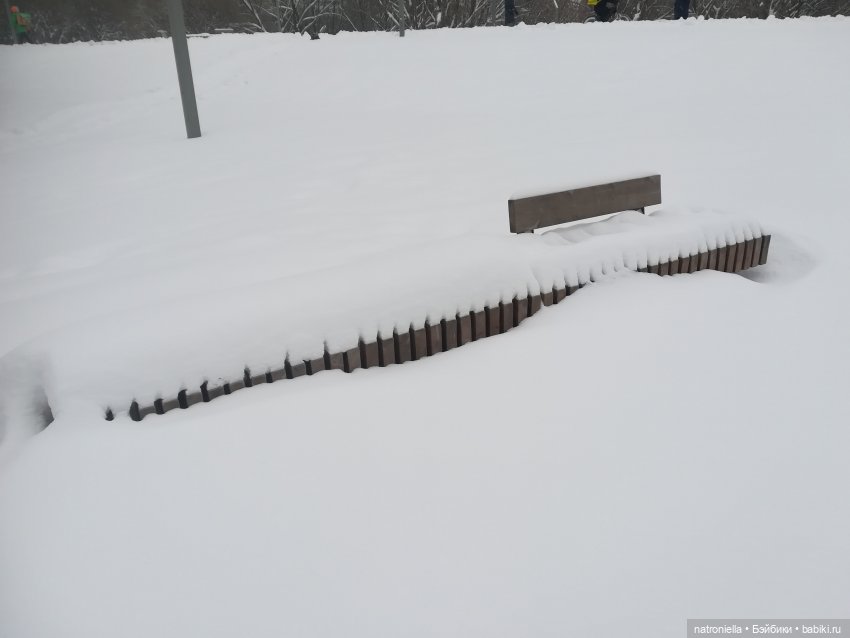 Зимние прогулки, часть первая - почти лесная