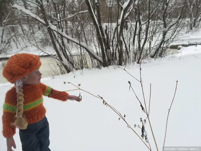 Зимние прогулки, часть первая - почти лесная (фото 8)