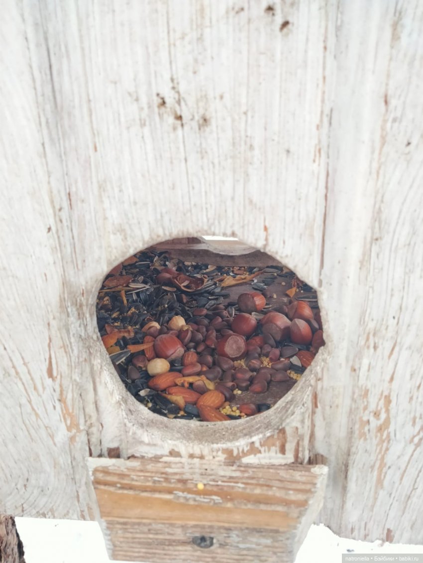 Саша, белка и зима — Куклы Sasha Morgenthaler (Саша Моргенталер): Trendon (фото 6)