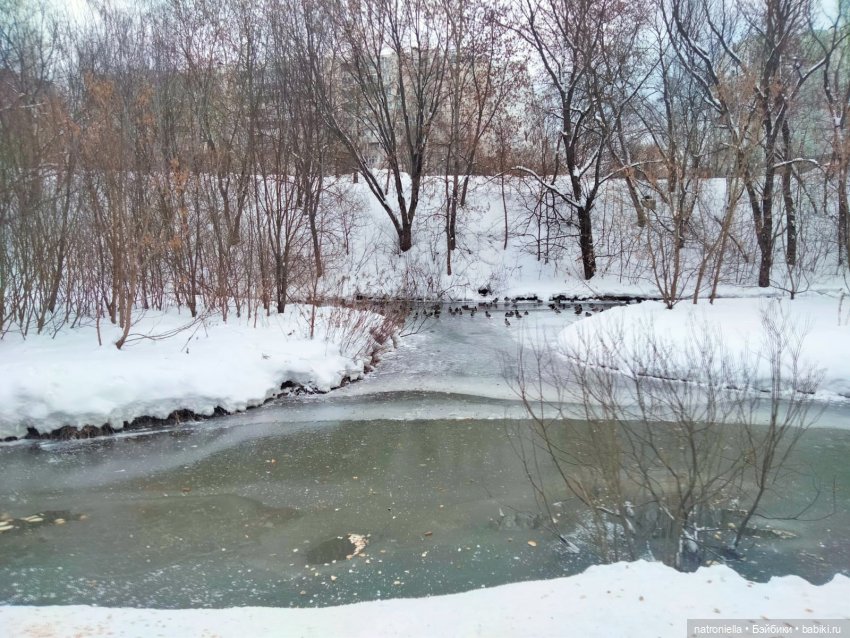 Саша, белка и зима — Куклы Sasha Morgenthaler (Саша Моргенталер): Trendon (фото 3)