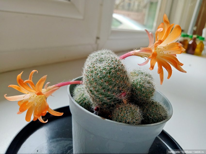 А вы ходили в детстве на работу к родителям