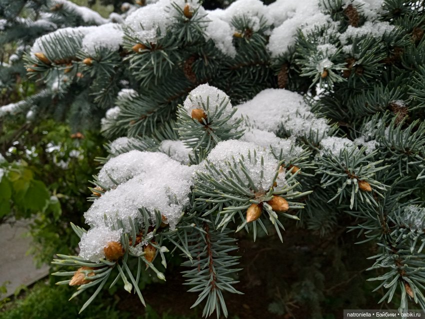 Москва (не) майская, или Кати и МГУ (фото 5)