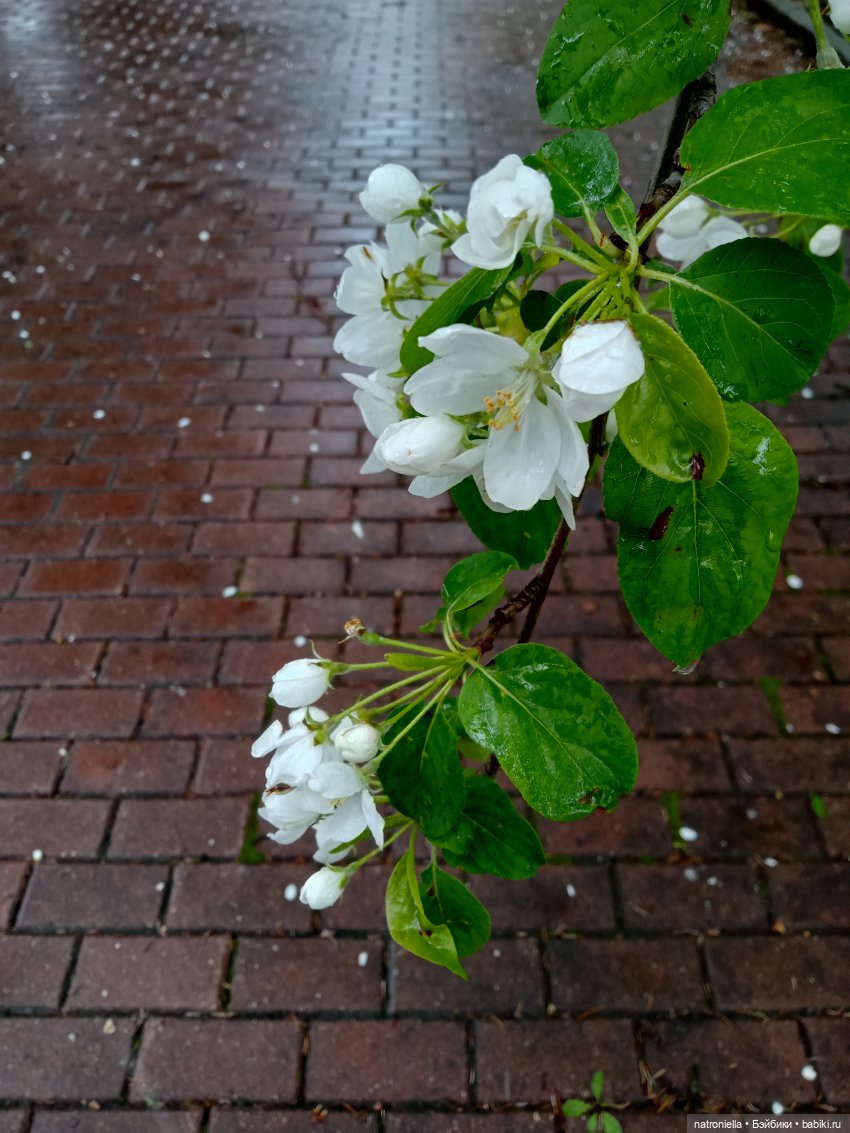 Москва (не) майская, или Кати и МГУ