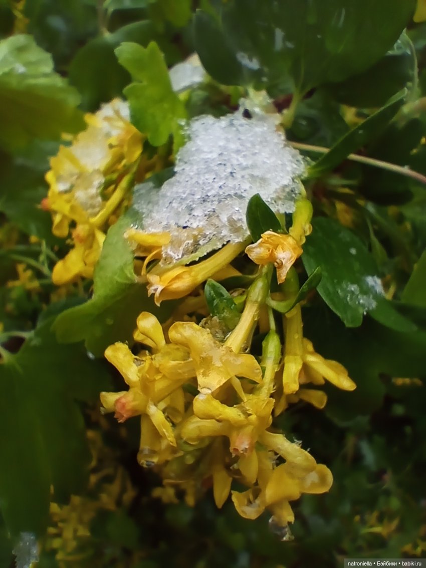 Москва (не) майская, или Кати и МГУ