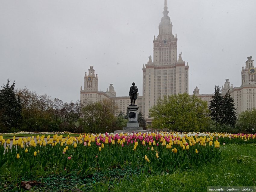 Москва (не) майская, или Кати и МГУ