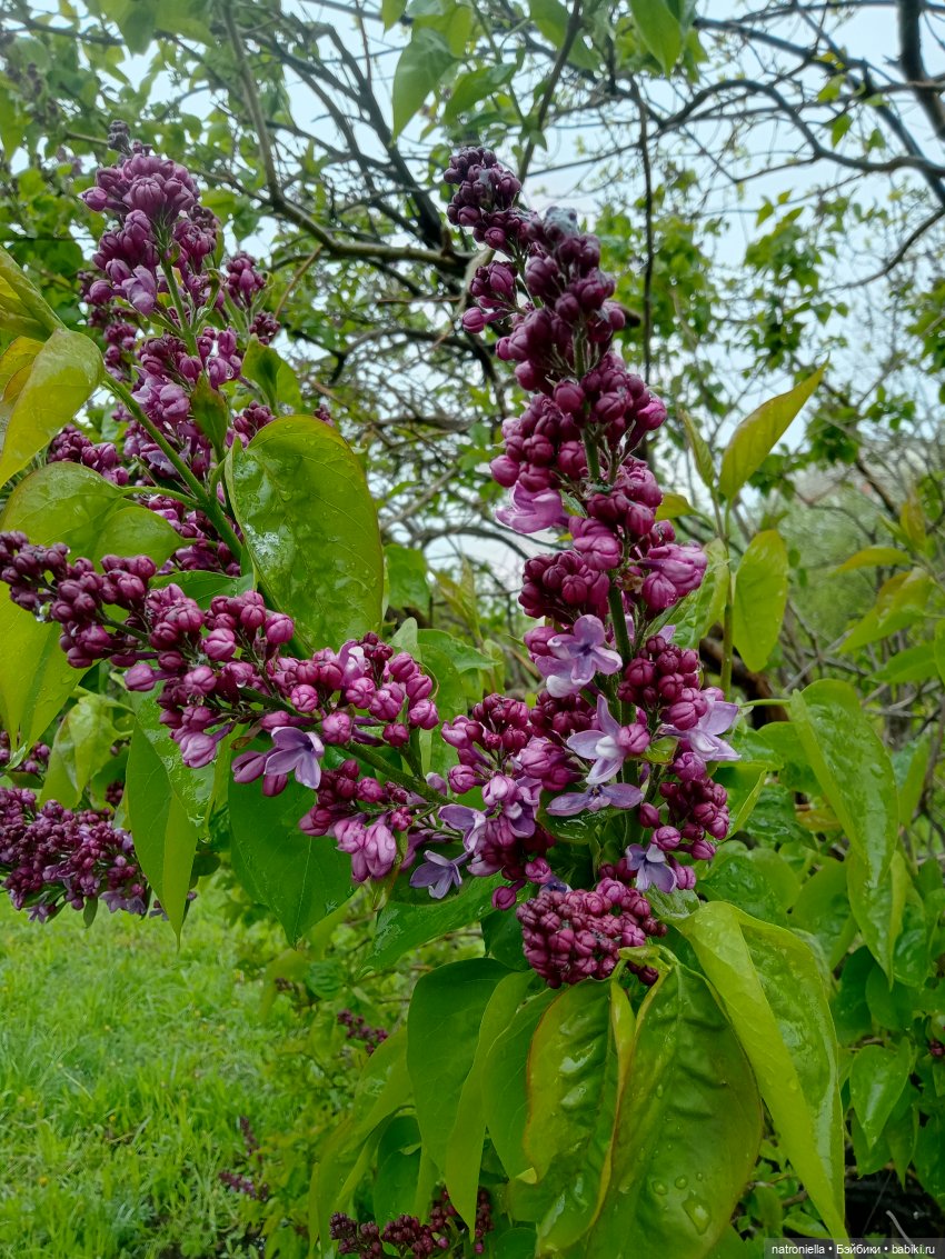 Москва (не) майская, или Кати и МГУ (фото 8)