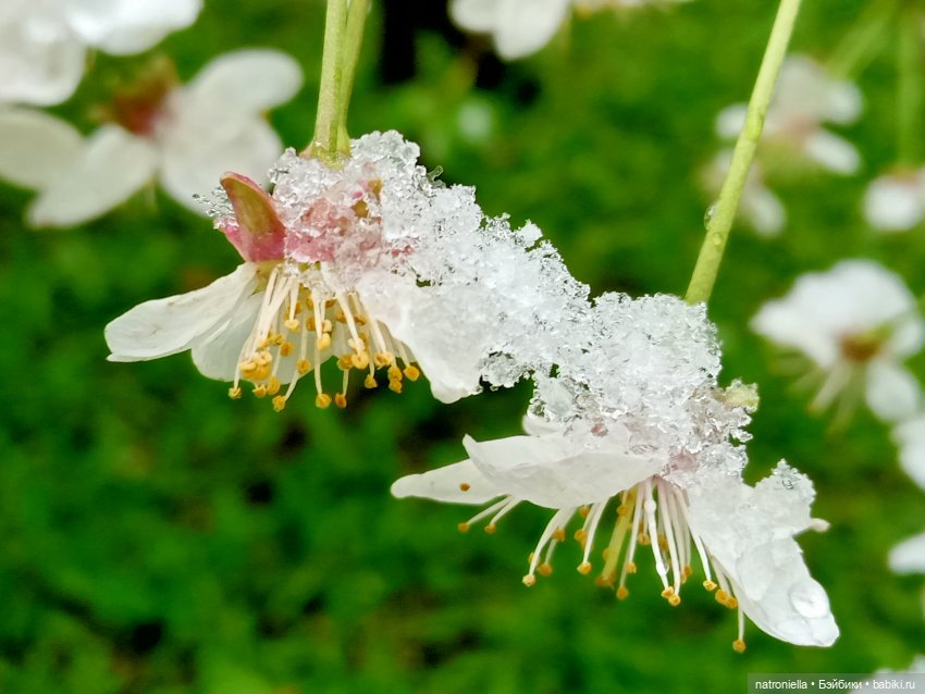 Москва (не) майская, или Кати и МГУ (фото 3)
