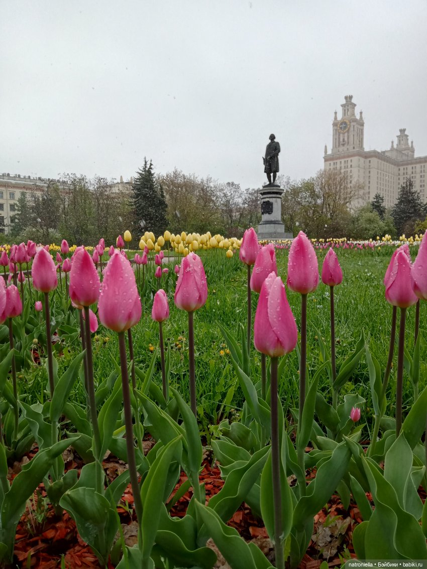 Москва (не) майская, или Кати и МГУ