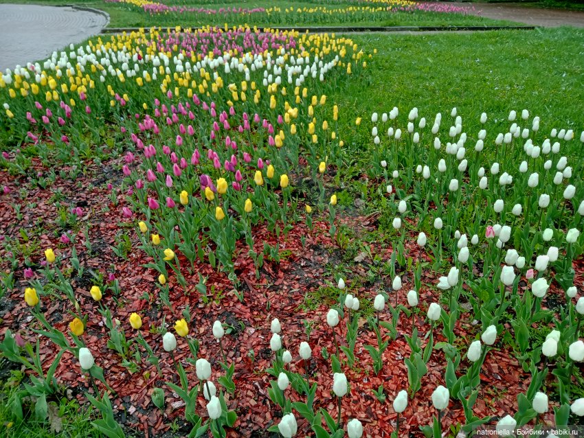 Москва (не) майская, или Кати и МГУ