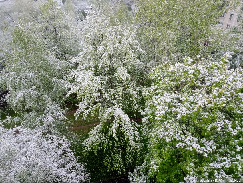 Москва (не) майская, или Кати и МГУ