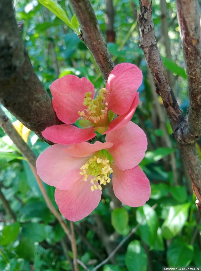 Там, на неведомых дорожках (фото 9)