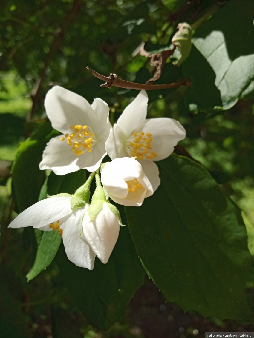 Там, на неведомых дорожках (фото 5)