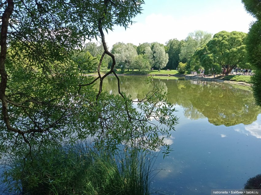 Там, на неведомых дорожках (фото 4)