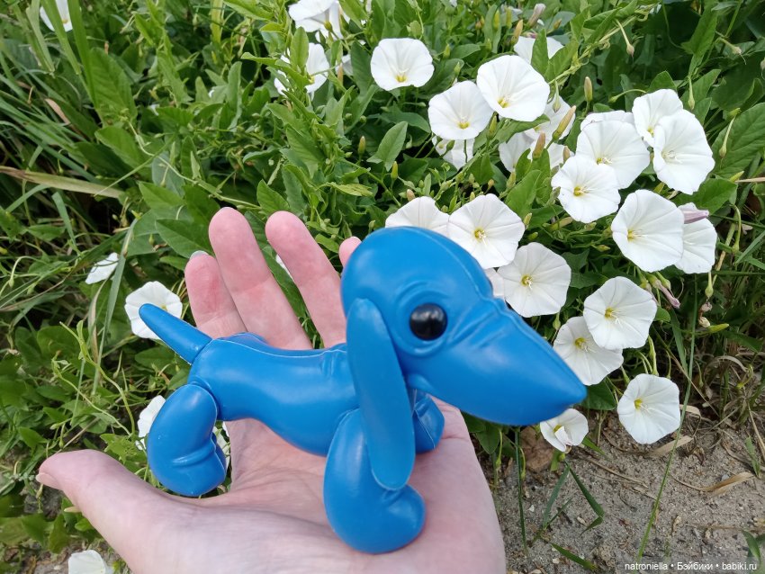 Голубое ухо, голубое брюхо (фото 7)
