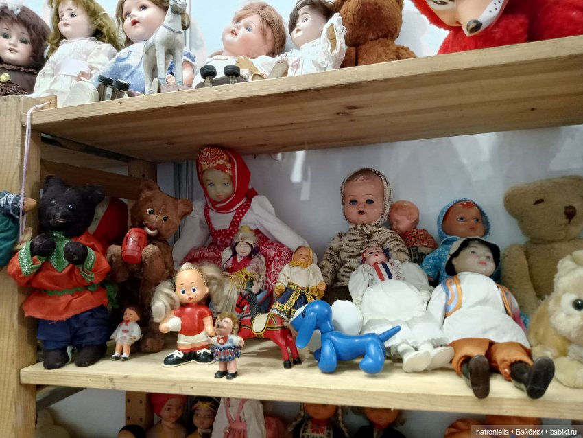 Голубое ухо, голубое брюхо