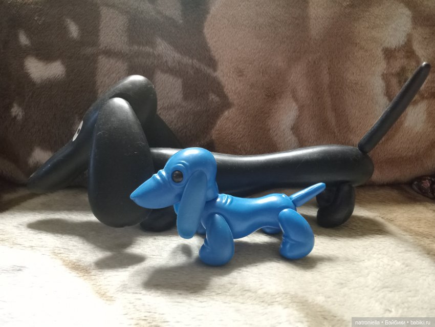 Голубое ухо, голубое брюхо (фото 5)