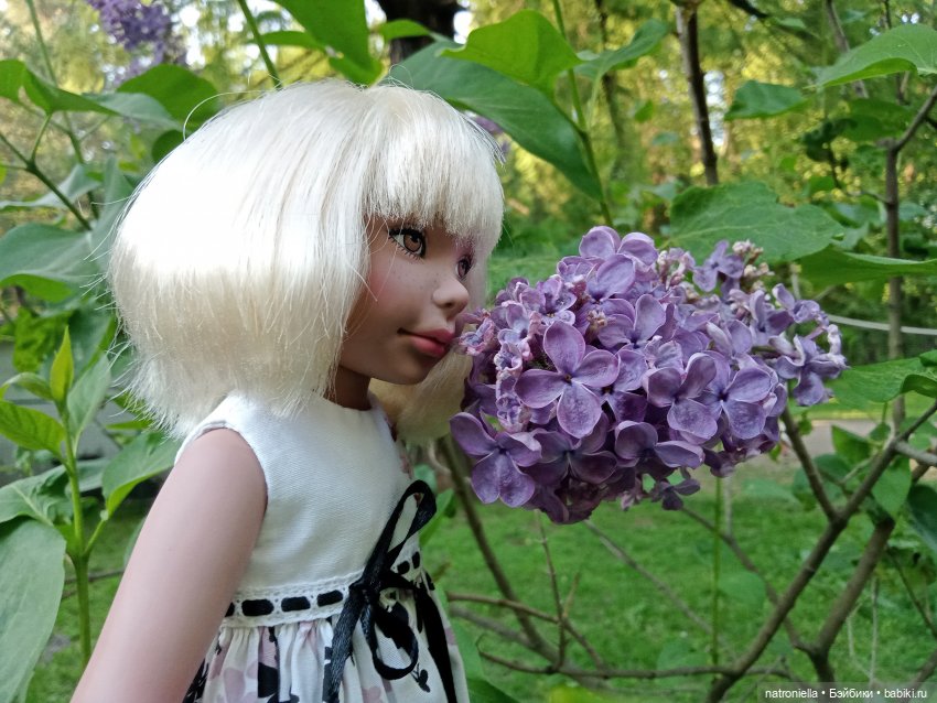 Один раз в год сады цветут (фото 10)