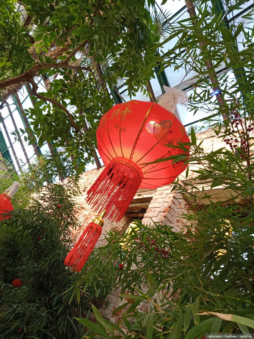 Знакомьтесь - Лин-Лин! Знакомьтесь - весна