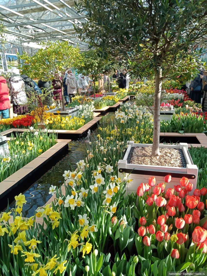 Знакомьтесь - Лин-Лин! Знакомьтесь - весна