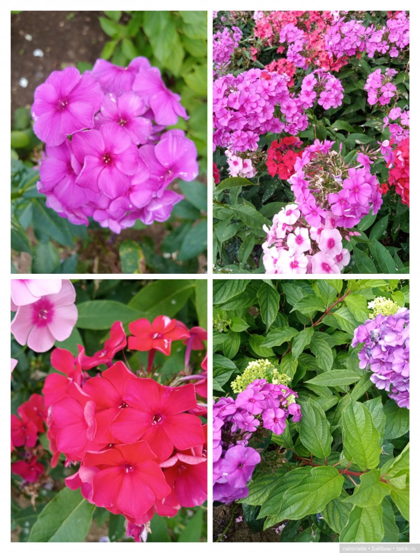 Лето с Пенни Брайт — Винтажные куклы ГДР (Немки): Бигги