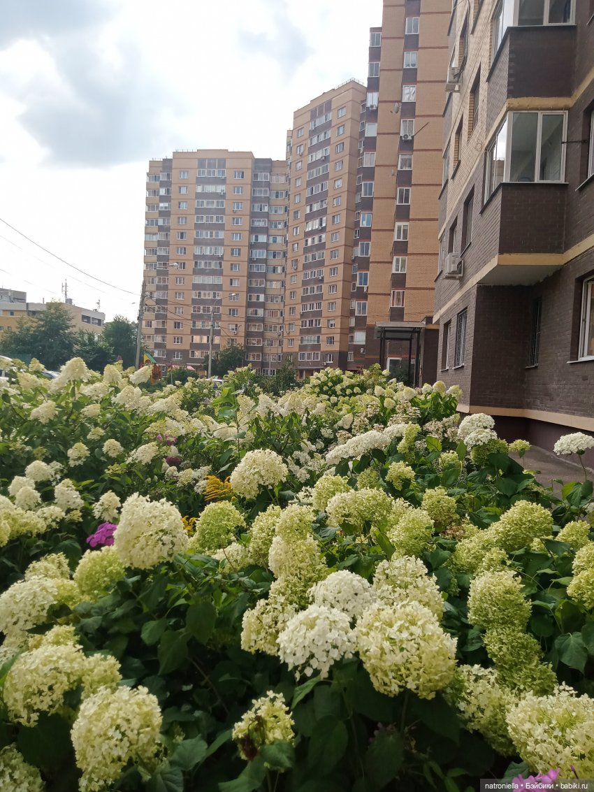 Лето с Пенни Брайт — Винтажные куклы ГДР (Немки): Бигги