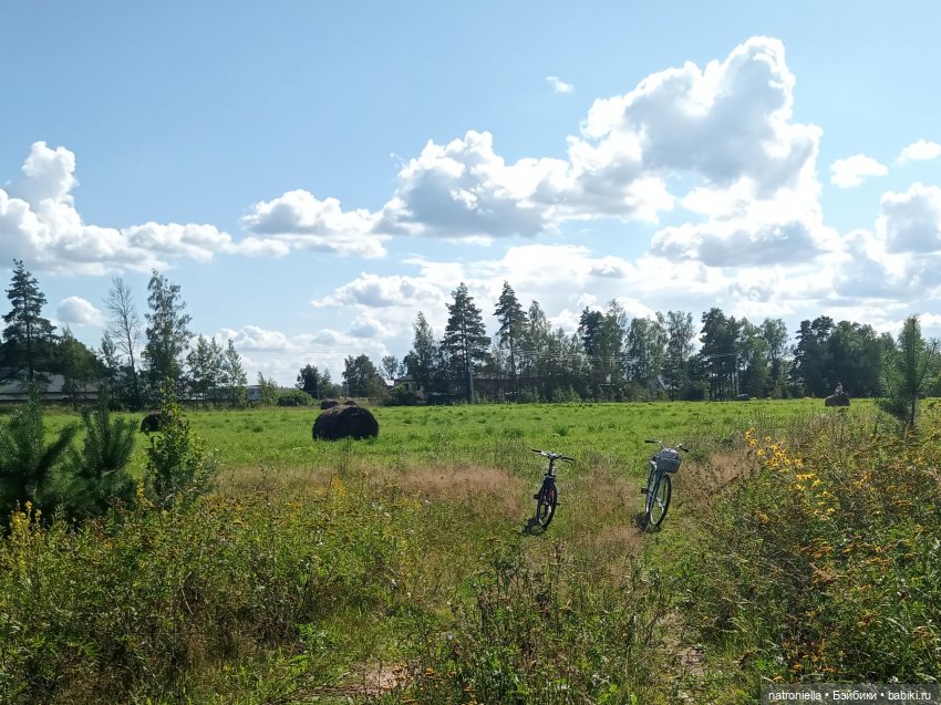 Лето с Пенни Брайт — Винтажные куклы ГДР (Немки): Бигги