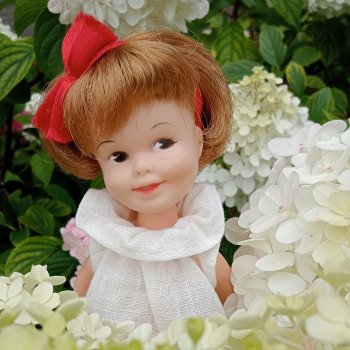 Лето с Пенни Брайт