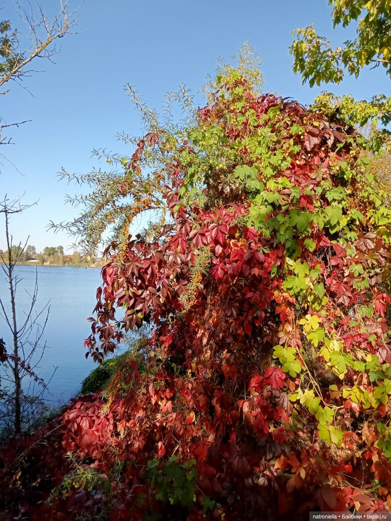 Первые краски осени — Куклы Sasha Morgenthaler (Саша Моргенталер): Trendon