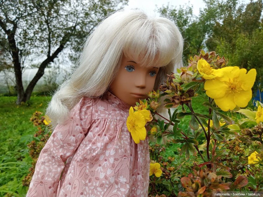 Первые краски осени — Куклы Sasha Morgenthaler (Саша Моргенталер): Trendon
