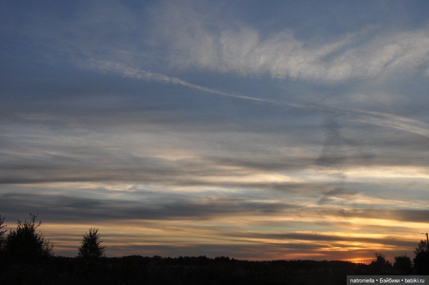 Первые краски осени — Куклы Sasha Morgenthaler (Саша Моргенталер): Trendon (фото 2)