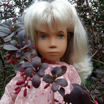 Первые краски осени