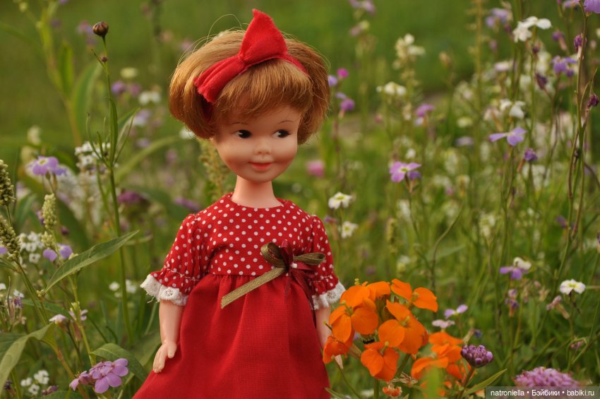 Пять лет на сайте - один взгляд назад