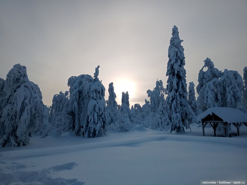 Зима в Каменном городе — Туризм и путешествия: фотоотчеты из поездок (фото 10)