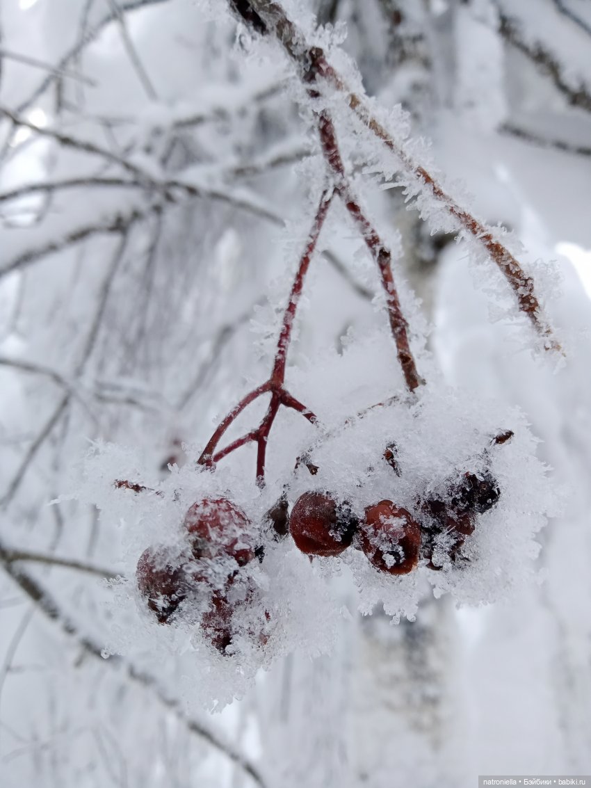 Зима в Каменном городе — Туризм и путешествия: фотоотчеты из поездок (фото 6)