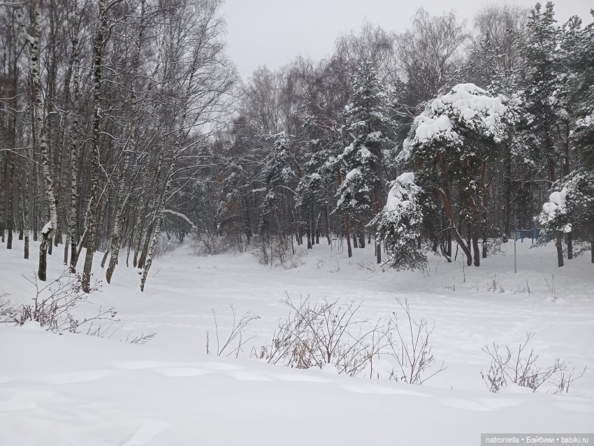 Такие разные Минуш — Куклы Sylvia Natterer (Сильвия Наттерер): Gotz