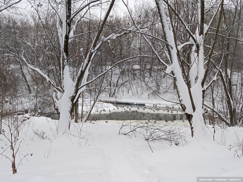 Такие разные Минуш — Куклы Sylvia Natterer (Сильвия Наттерер): Gotz