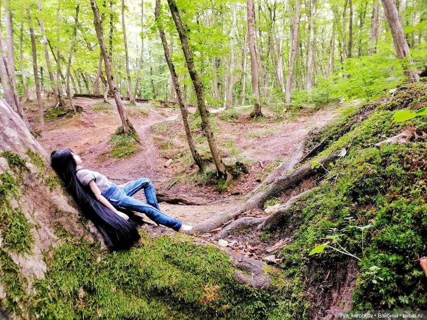 Том в лесу — Разные шарнирные куклы (не БЖД): редкие