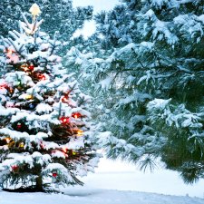 Итоги 2021 часть вторая