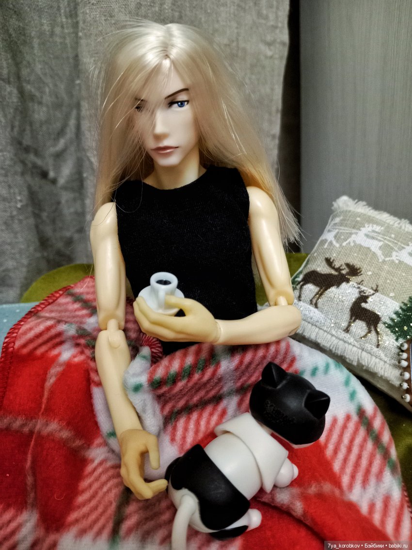 Мечты Такеши — Куклы Momoko и Ruruko (Petworks
