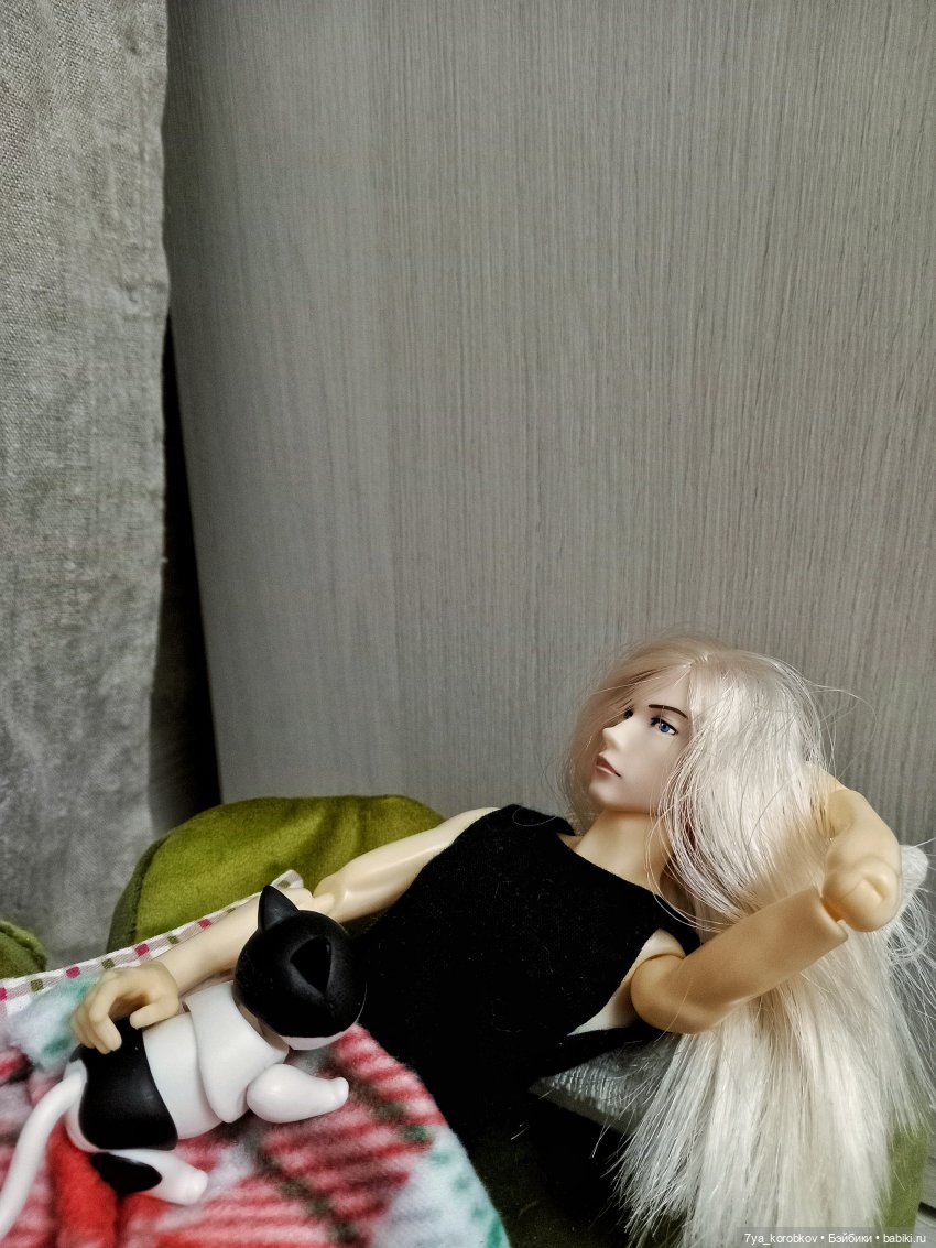 Мечты Такеши — Куклы Momoko и Ruruko (Petworks