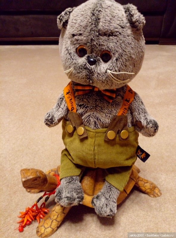 Мой Басик — Кот Басик (фото 4)