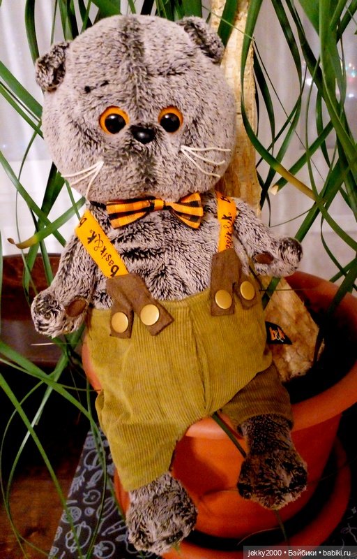 Мой Басик — Кот Басик (фото 2)