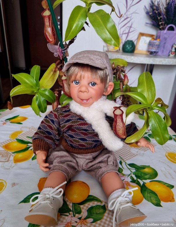 Ванильный вождь краснокожих