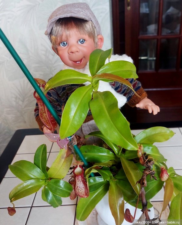 Ванильный вождь краснокожих (фото 2)