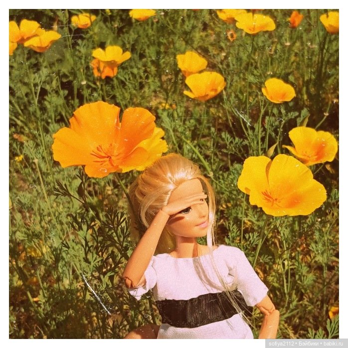 С Новым Годом поздравляем - познакомиться желаем (фото 4)