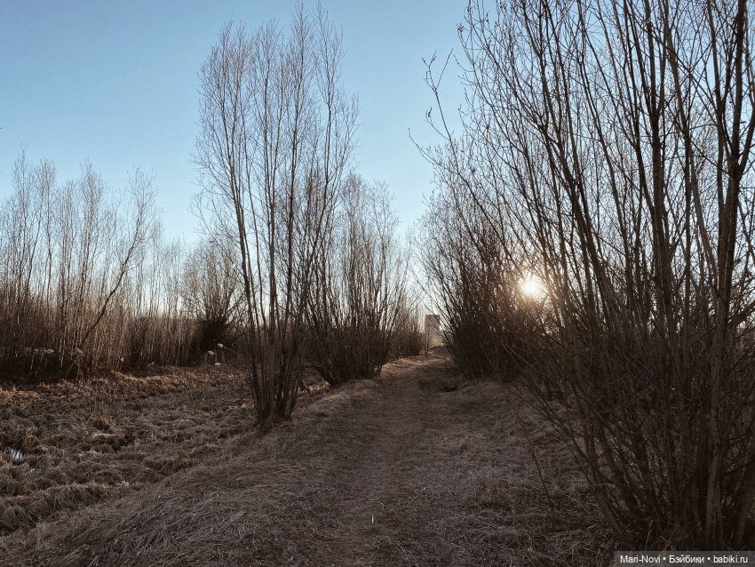 Прогулки с Тейлор Анжелик (фото 2)