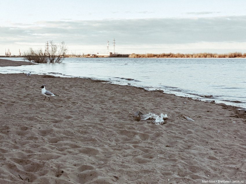 Прогулки с Тейлор Анжелик (фото 4)